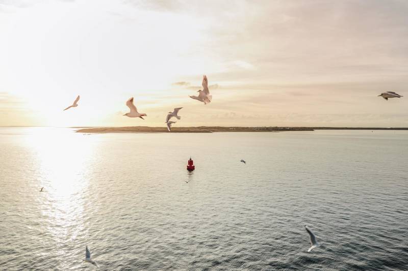 Urlaub am meer Callantsoog LekkerNaarZee